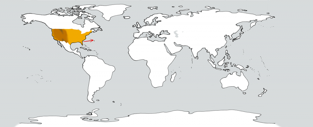 Eine weiße Weltkarte mit zwei goldenen Flecken in der Position der USA und den Bermudas. Ein roter Pfeil führt vom ersten zum zweiten.